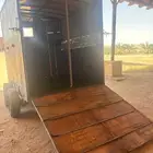 نقل خيل راسين
