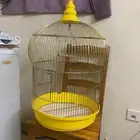 قفص كبير