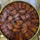 للبيع صفري بيشه حشي جديد