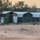 صنادق بقلاوة صغير