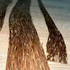 رقائق العود الفيتنامي الجميله