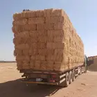 تبن قمح   شد طيب الدفع عند الوصول