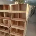 مخافق