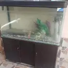 حوض اسماك