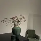 محل ورد كامل لتقبيل 50 الف .