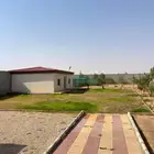 حوش للتنازل