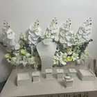 استاند عروس.. جديدة