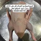 فروخ وز عمر 6 شهور