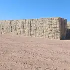 ذره امريكي شد نظيف