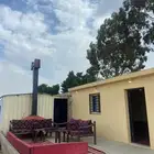 ديوانيه للإيجار
