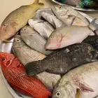 سمك بحري طازه