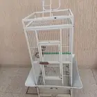 قفص شبك ببغاء
