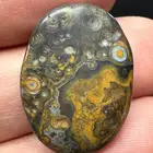 بافوري سليماني هندي مصور