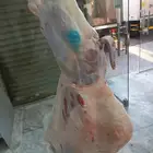 يوجد خرفان وتيوس سواكني وبقري وحاشي لجميع الملاحم والمطاعم