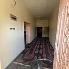 ش ق ه يومي في الباحه الان