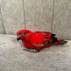 فرخين رد لوري