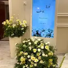 تنسيق حفلات ملكه خطوبه عقد قران