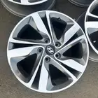 جنوط. النترا.