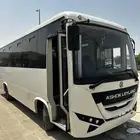 Ashok 2020 باص كوستر للبيع