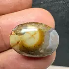 داوودي يماني عين مصور