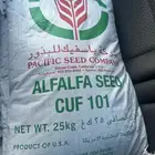 بذور برسيم باسفيك امريكي ك101