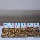 تمر سكري مفتل مزارع اوثال