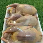 سمان فري كميه جديده ذبح وتربيه