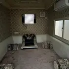 مشب