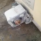 الرياض