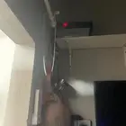 اغراض محل عصير. للبيع