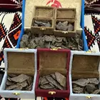 عود ازرق للبيع