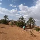للبيع ارض بارينبه بصك زراعي محدث مساحة 4102