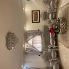 كنب