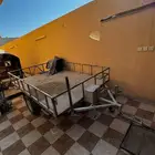 3 قلوص للبيع طويق غرب الرياض