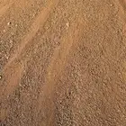 بسكورس دفان صبيز بركاني