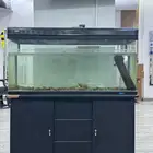 يوجد لدينا حوض سمك كبير مع ادراج سفليه