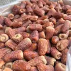 تمر برني العيص انتاج السنه