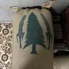 ذره جيزانيه
