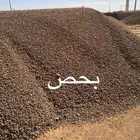 رمل احمر الفريش