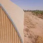 الجله
