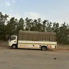 دينا مكه كرين دنه دينه سته متر جامبو