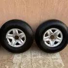 الاحساء