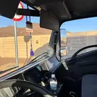 دانه اسيزوز