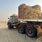 سقس بوز سوبر 28