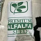بذور البرسيم