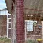 شبك لطيور الزينه