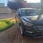 سنتافي وردة للبيع 2017