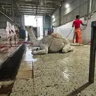 حوار لباني وبري موجود بالملحمة