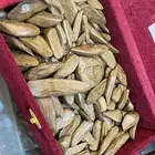 عود مروكي طبيعي محسن دبل سوبر بيور