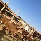 سواكني مضاريع ودفع